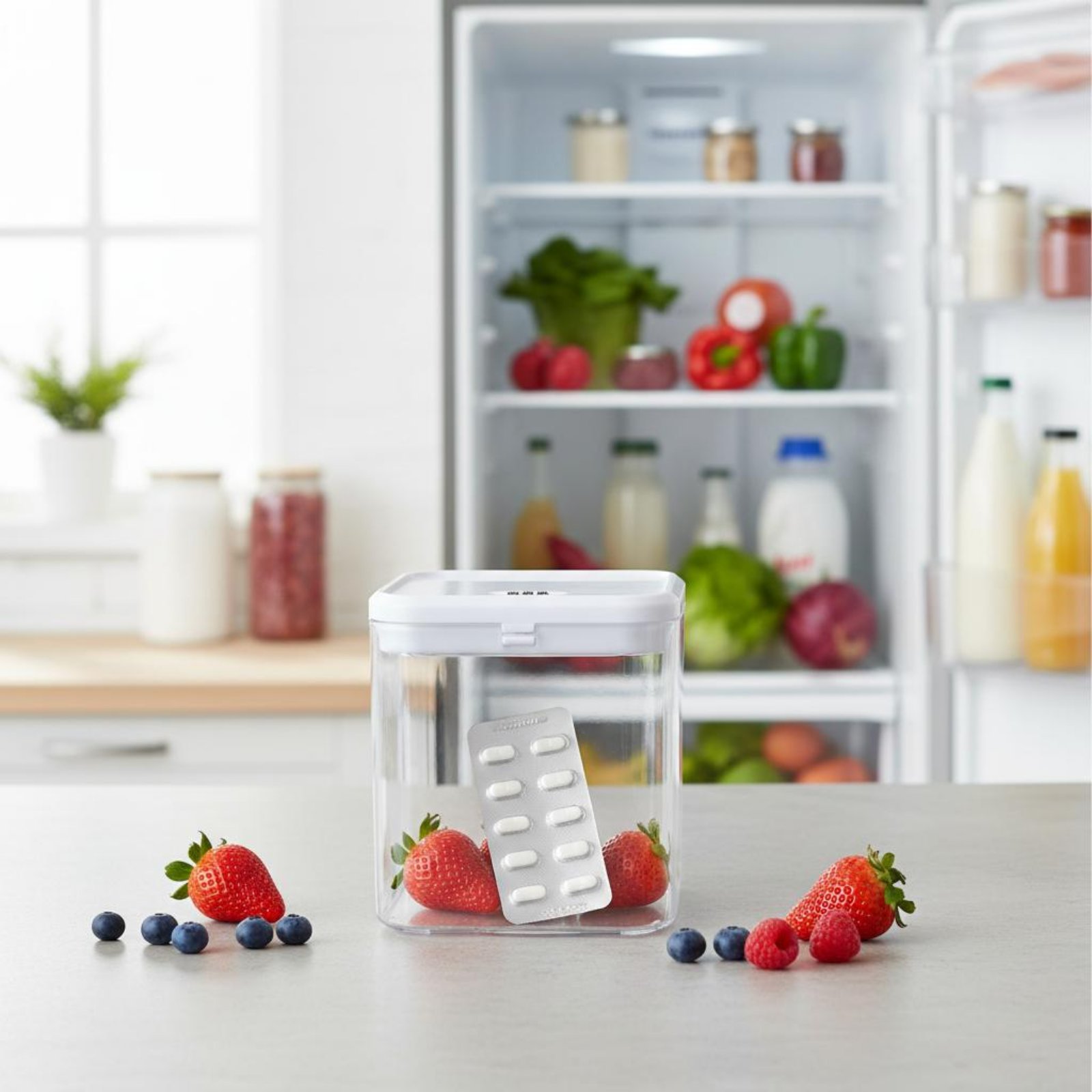 Clear Lockable Box Versatile L - Food & Snacks Coloring review and price