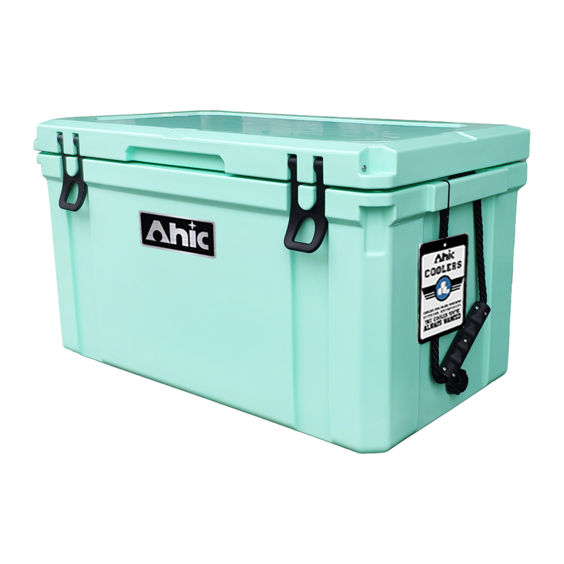 75L Insulated PE Ice Cooler Bo - Food & Snacks Coloring review and price