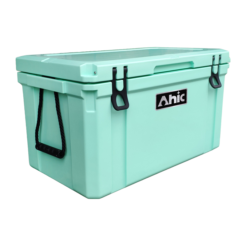 75L Insulated PE Ice Cooler Bo - Food & Snacks Coloring review and price