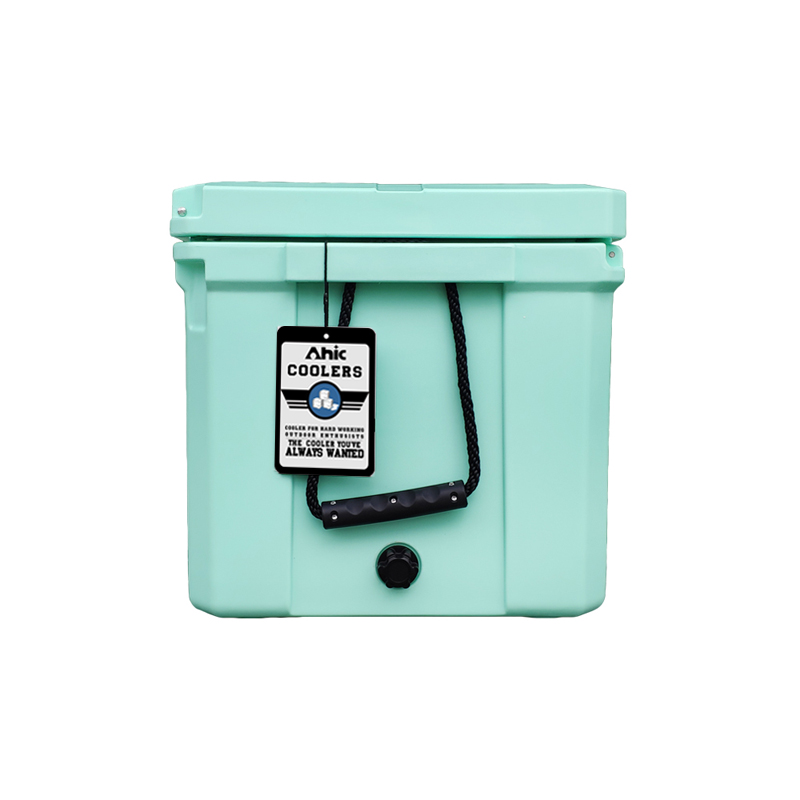 75L Insulated PE Ice Cooler Bo - Food & Snacks Coloring review and price
