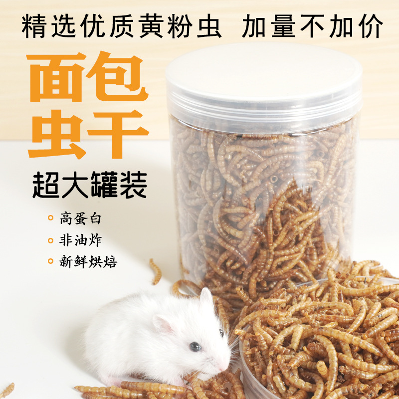 High-Protein Snacks Hamster Fo - Food Protein Snacks review and price