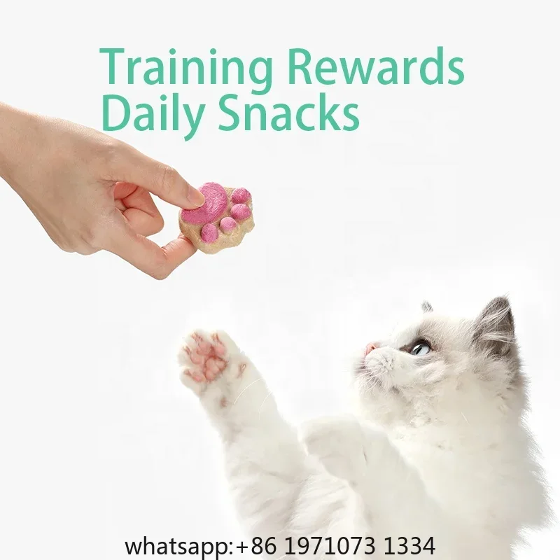 Cat Freeze Dried Snacks High P - Food Protein Snacks review and price
